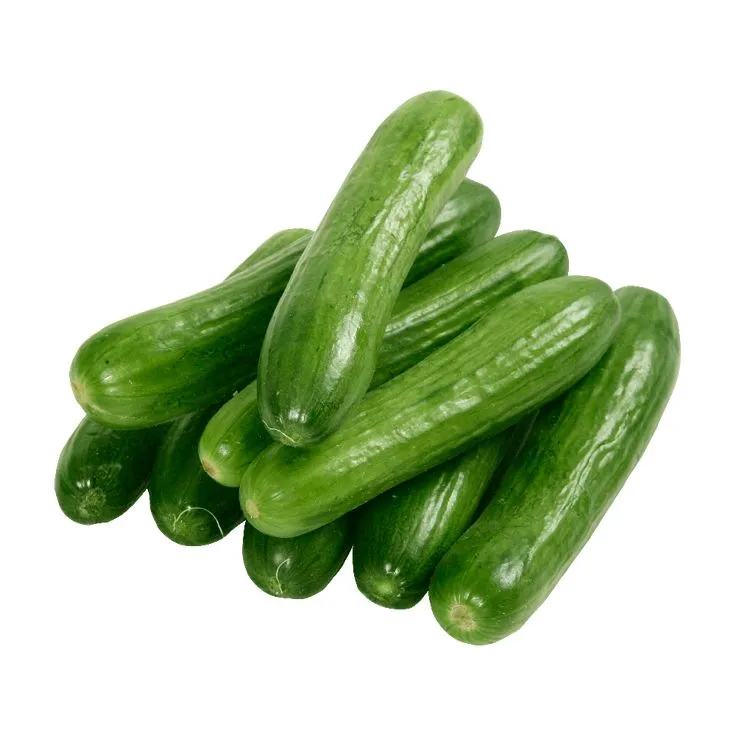 /storage/photos/cucumber.webp